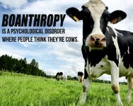 boanthrophy-cellular-country-reviews.jpg