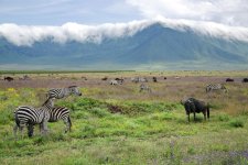 ngorongoro_conservation_area_park.jpg