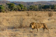 ruaha_national_park.jpg