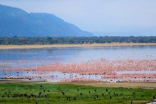 lake_manyara_national_park.jpg